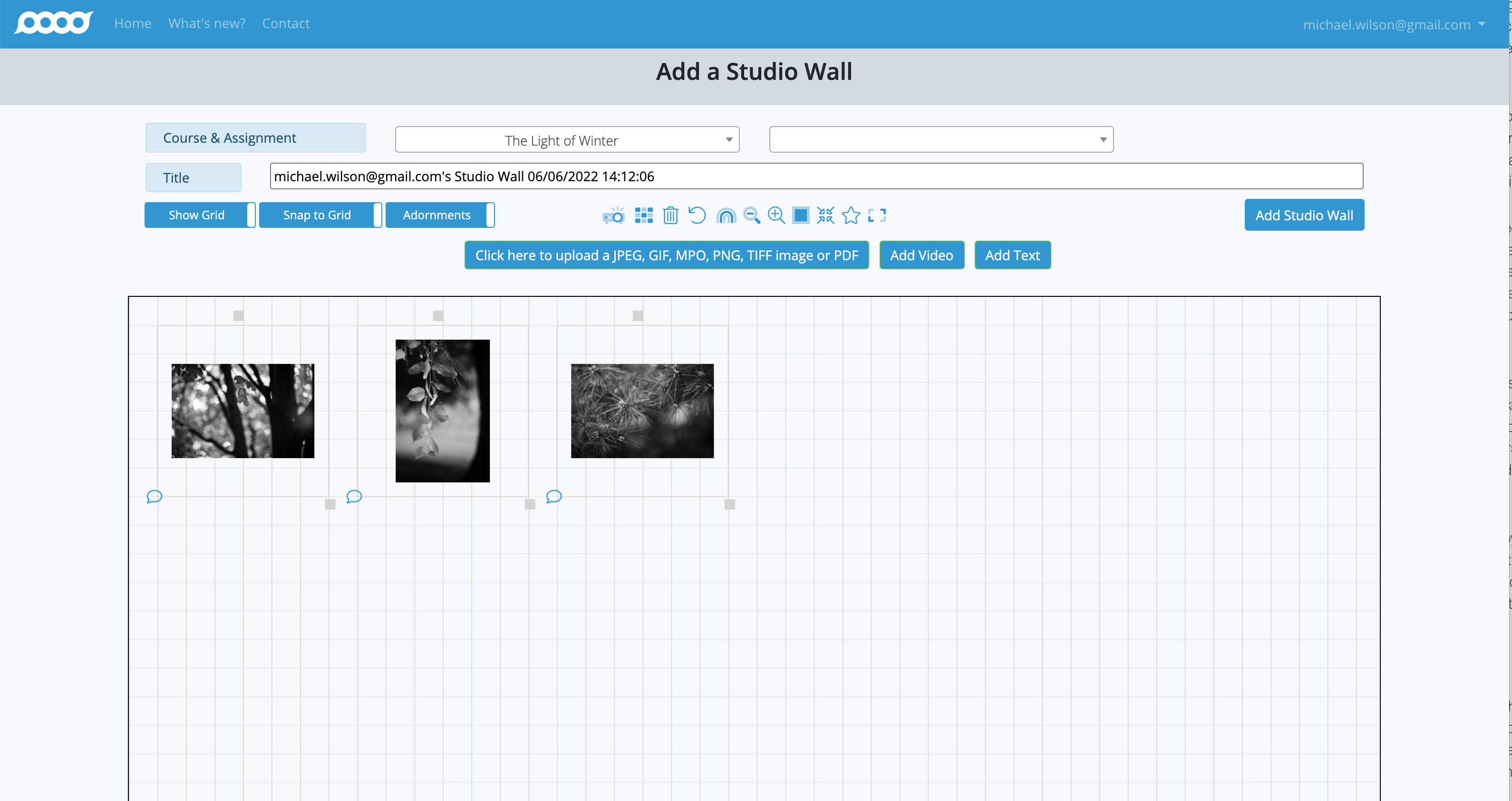 Multiple images arranged on studio wall
