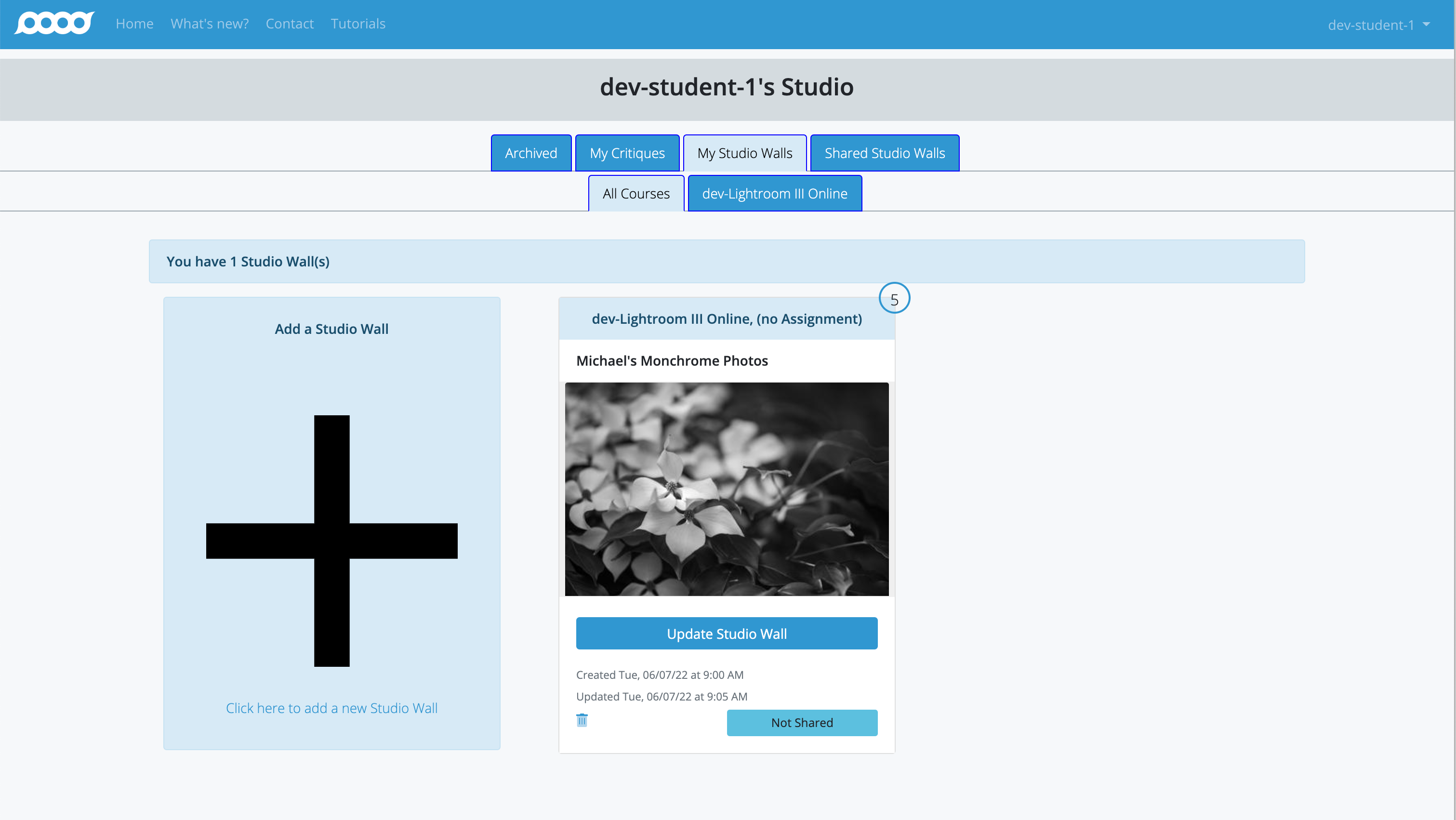 Studio page with My Studio Walls tab