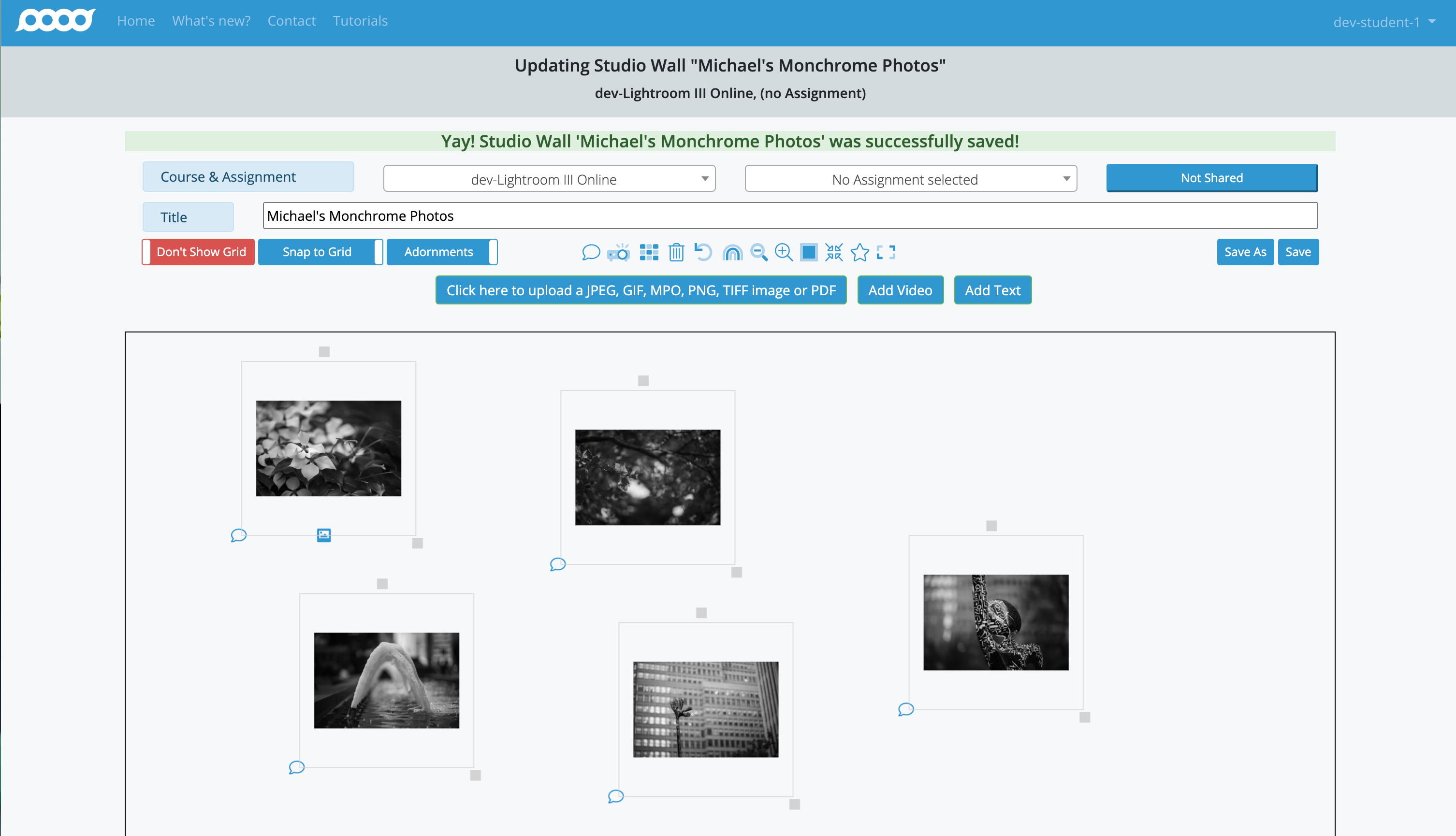 Multiple photographs rearranged