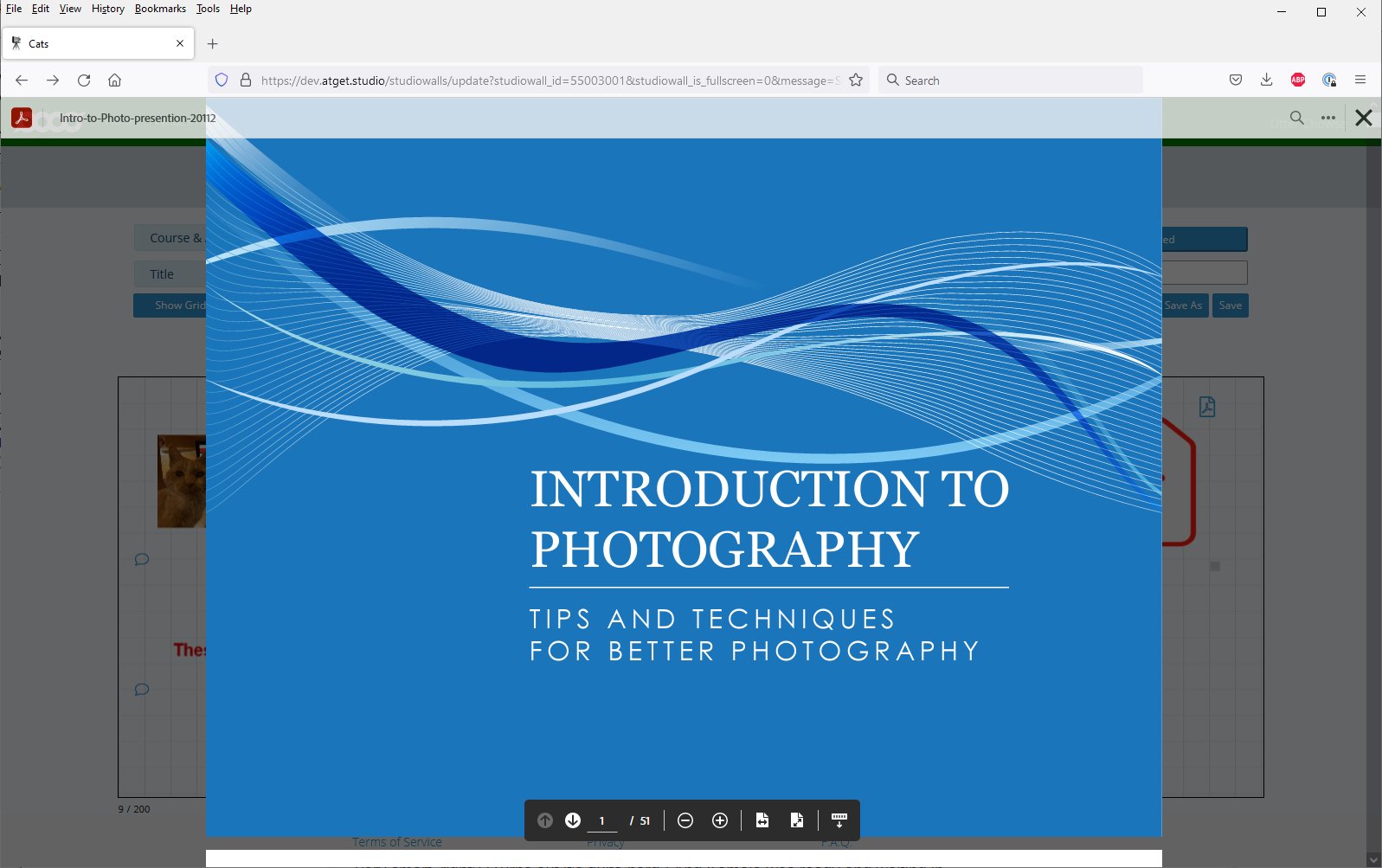 PDF file displayed in browser